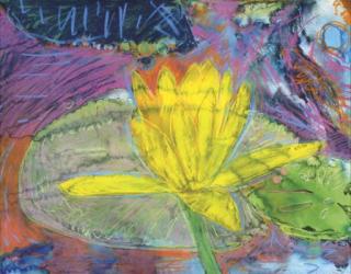 Joseph Raffael - February Lily