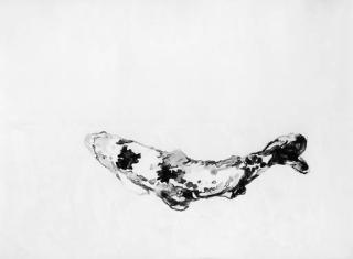 Joseph Raffael - Haiku Fish II; III; and IV