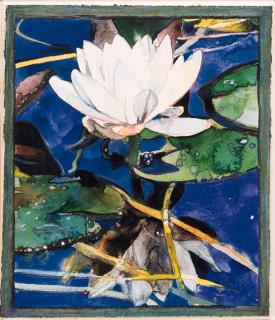 Joseph Raffael - Reflection