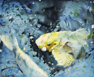 Joseph Raffael - Summer Fish