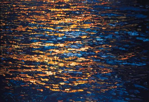Joseph Raffael - Sunset