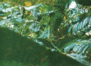 Joseph Raffael - Untitled; Untitled; and Untitled