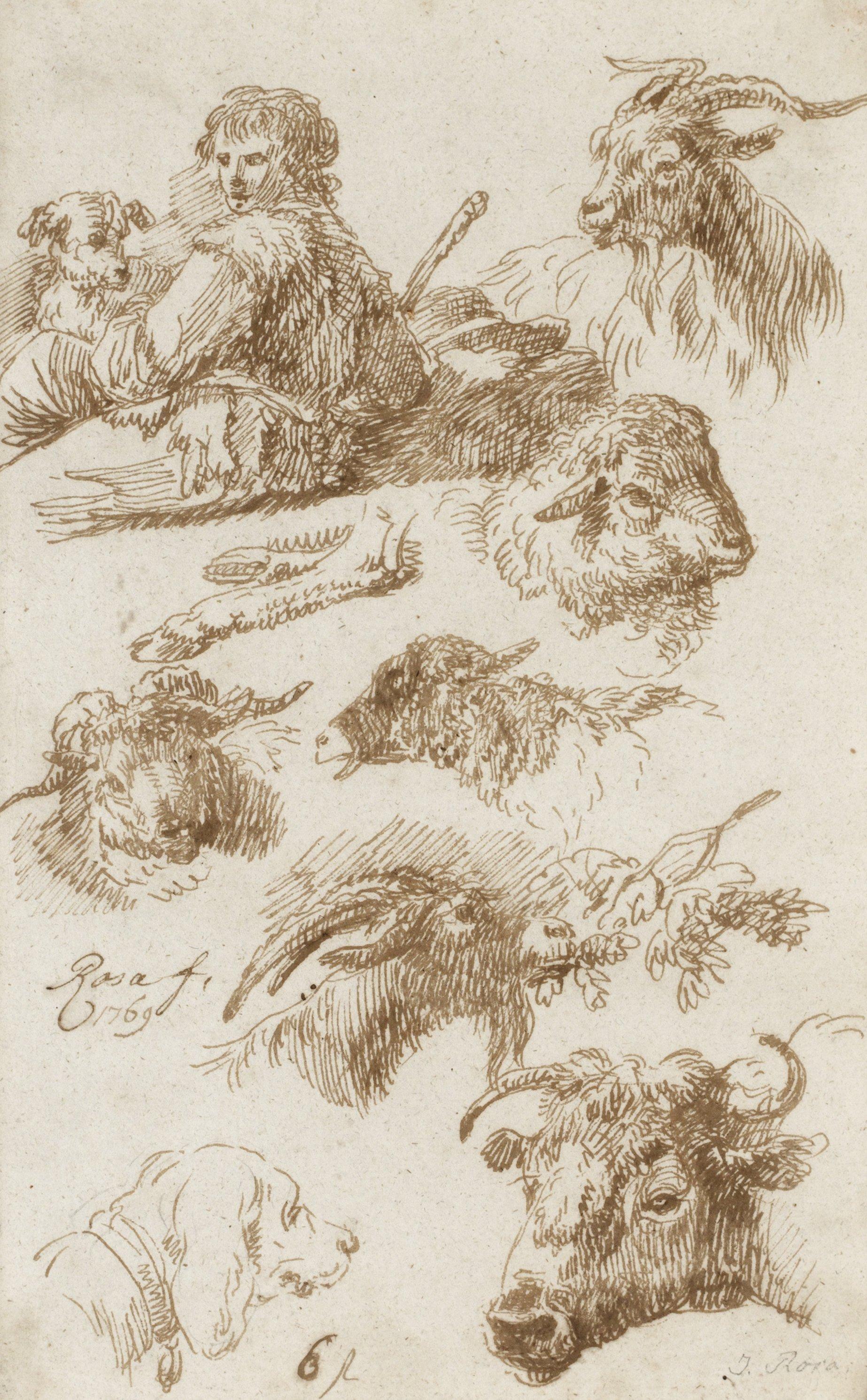 Joseph Roos - Djur- och människostudier