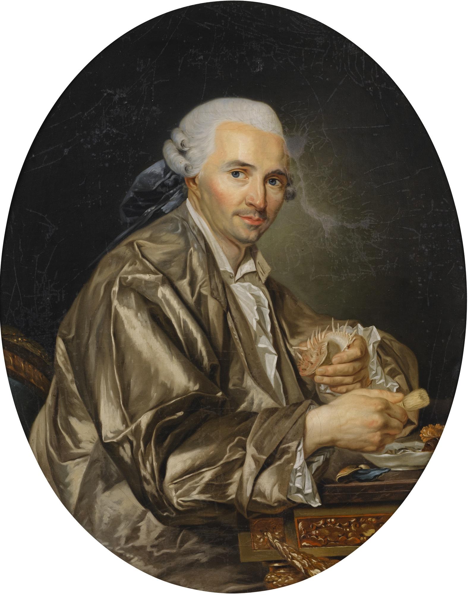 Joseph-Siffred Duplessis - Portrait Of A Gentleman Shell Collector
