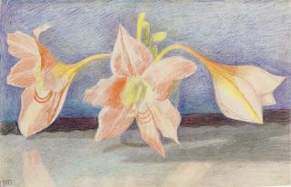 Joseph Stella - Amaryllis