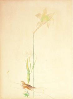 Joseph Stella - Lilies and Sparrow