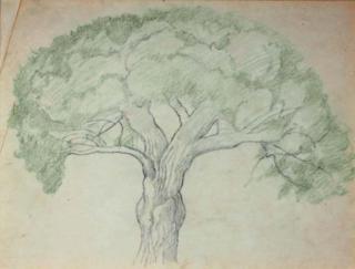 Joseph Stella - Study for Tree of Nice
