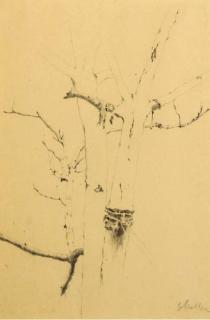 Joseph Stella - Trees; also a companion drawing