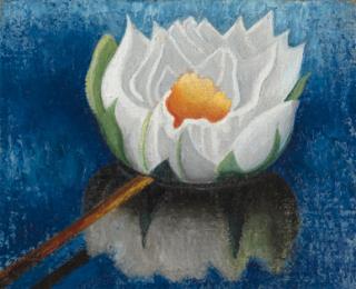 Joseph Stella - Water Lily