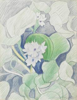 Joseph Stella - White Flowers