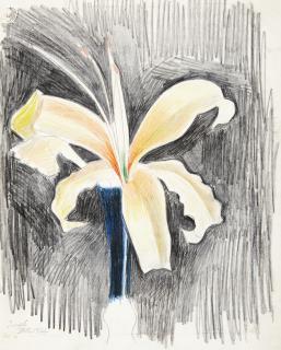 Joseph Stella - Yellow Lily