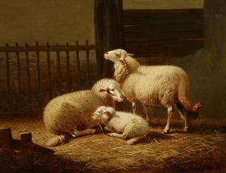 Joseph van Dieghem - Schafe