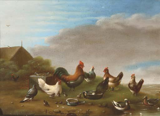 Joseph van Severdonck - Poultry