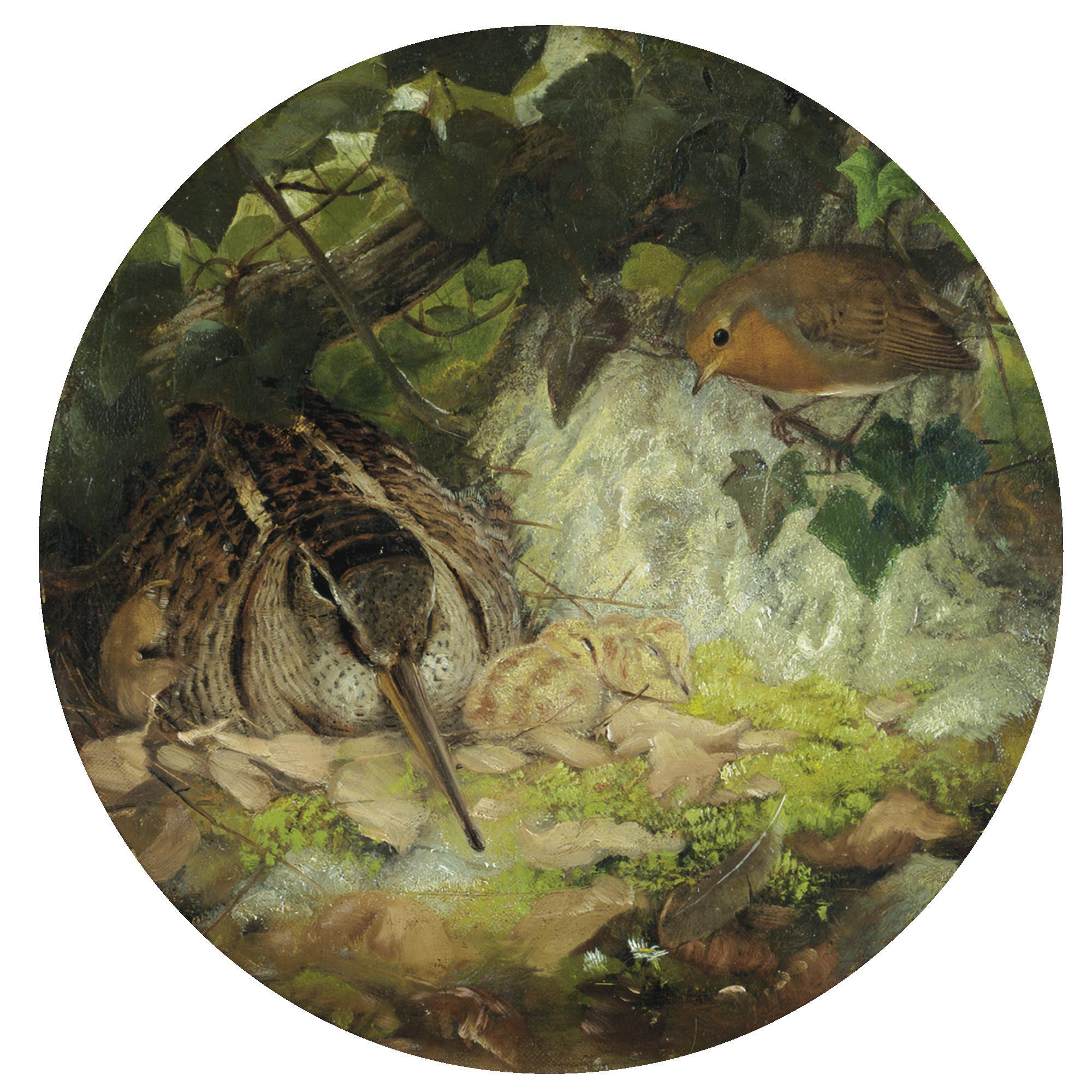 Joseph Wolf, R.I. - A Woodcock With Its Young And A Robin