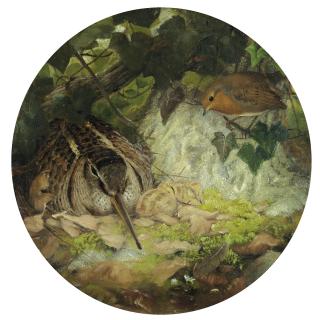 Joseph Wolf, R.I. - A Woodcock With Its Young And A Robin