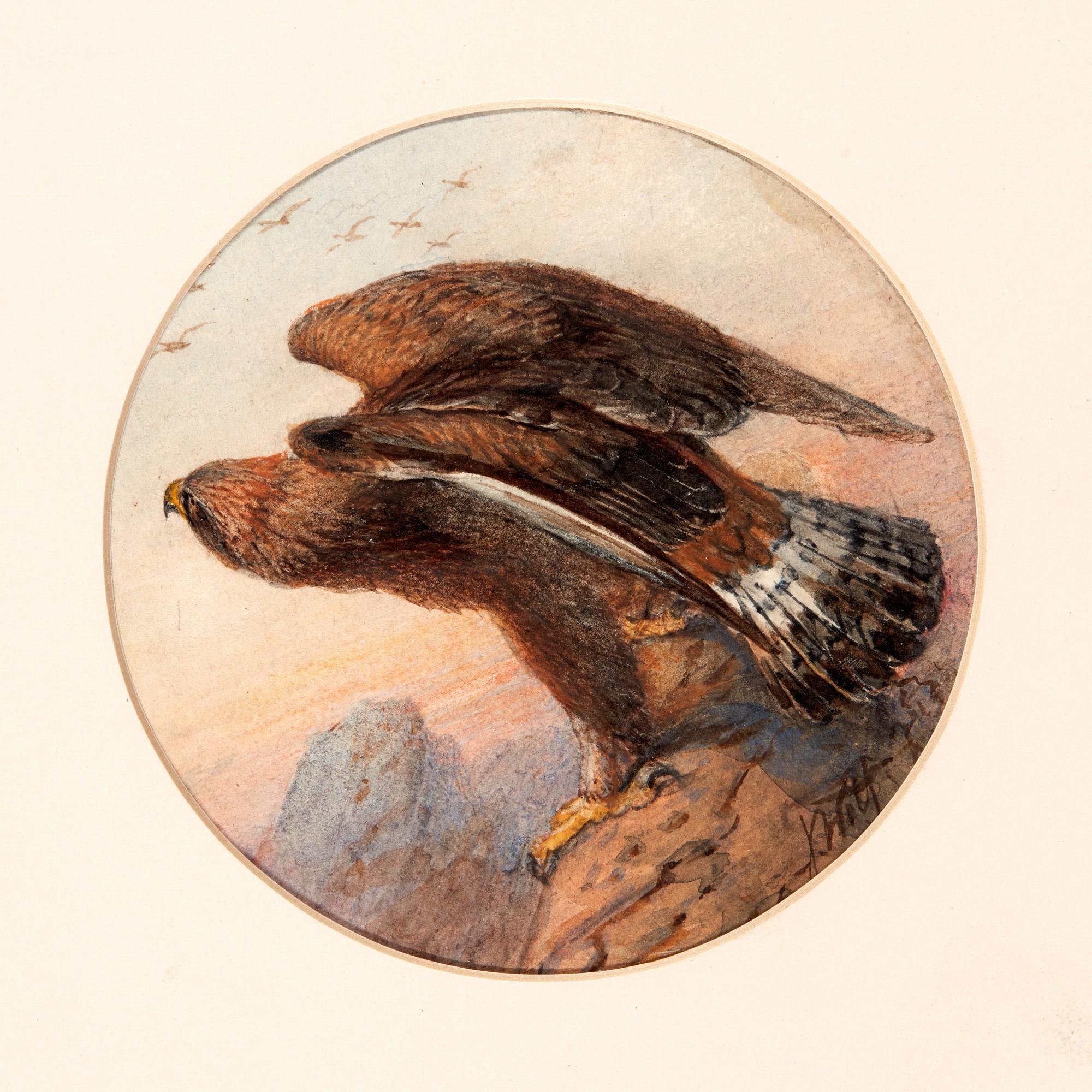 Joseph Wolf - Eleven small medallion drawings of birds, red morocco