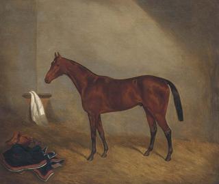 Joshua Dighton - A Bay Racehorse In A Stable