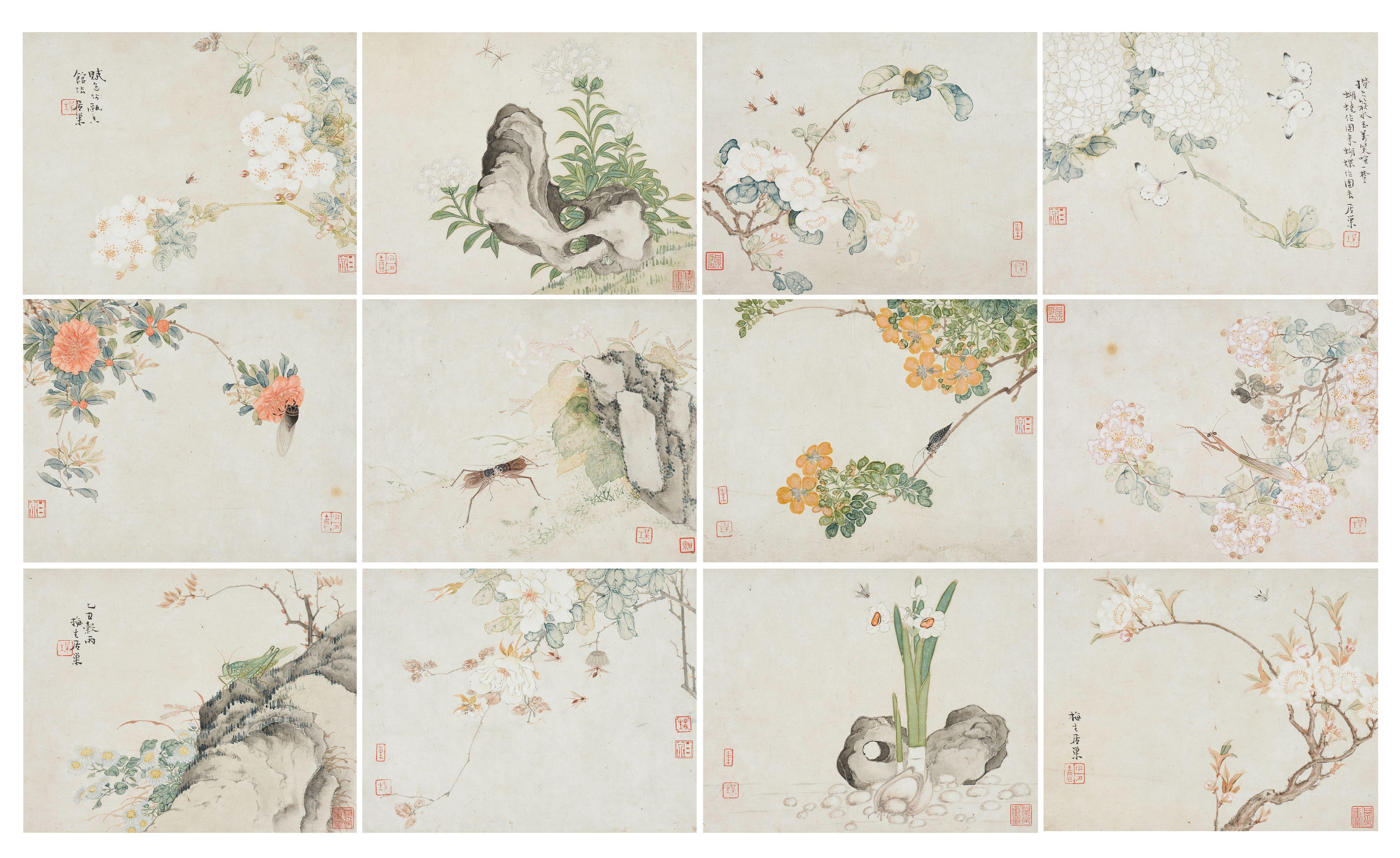 Ju Chao - Insects, Flowers and Rocks