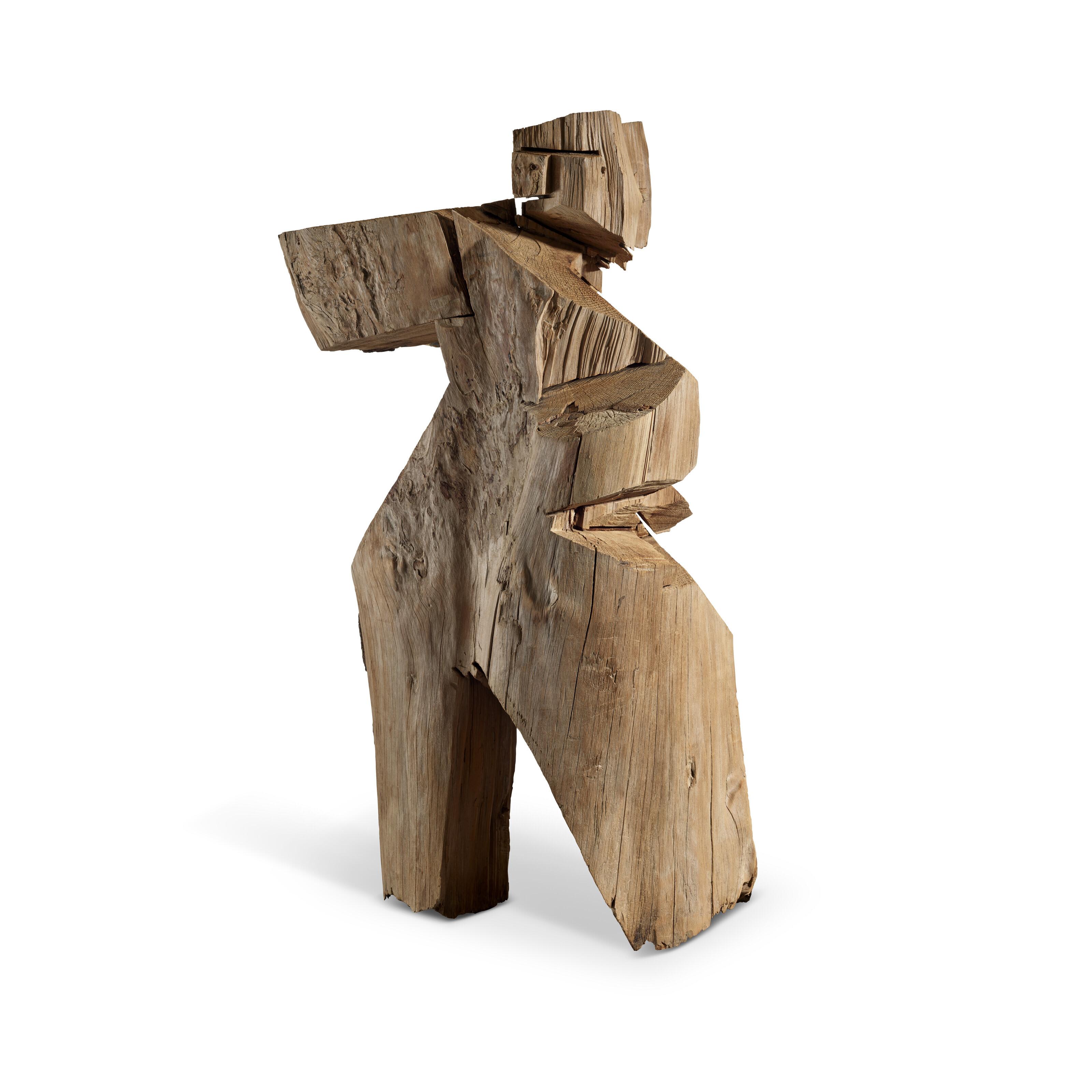 Ju Ming - Living World Series - Human Practicing Taichi Boxing