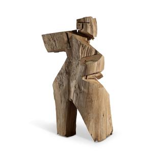 Ju Ming - Living World Series - Human Practicing Taichi Boxing