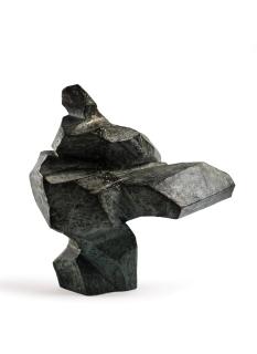 Ju Ming - Taichi Series