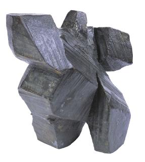 Ju Ming - Taiji Series - Golden Rooster Standing