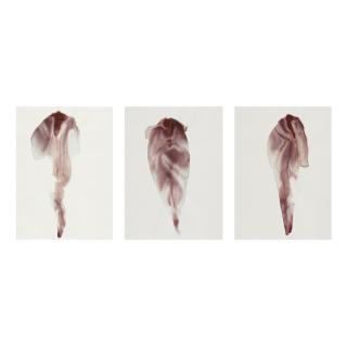 Juan Hamilton - Virtual Mist V, Vi, Vii (Three Works)