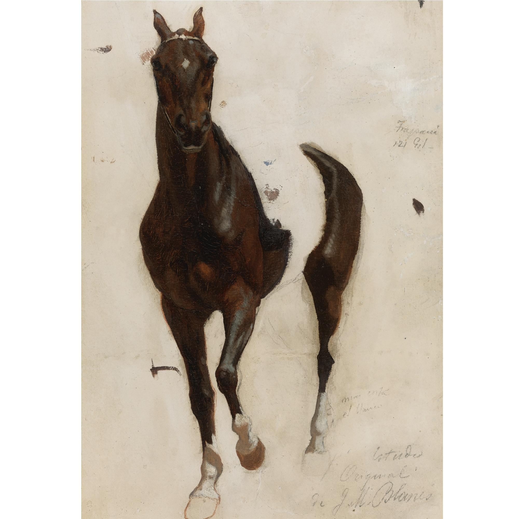 Juan Manuel Blanes - Boceto Para El Caballo De La Revista De Santos