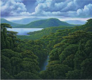 Juan Manuel Hernández - Desde los puentes colgantes