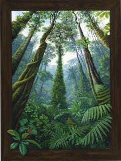 Juan Manuel Hernández - Helechos En La Sierra Buscando La Luz