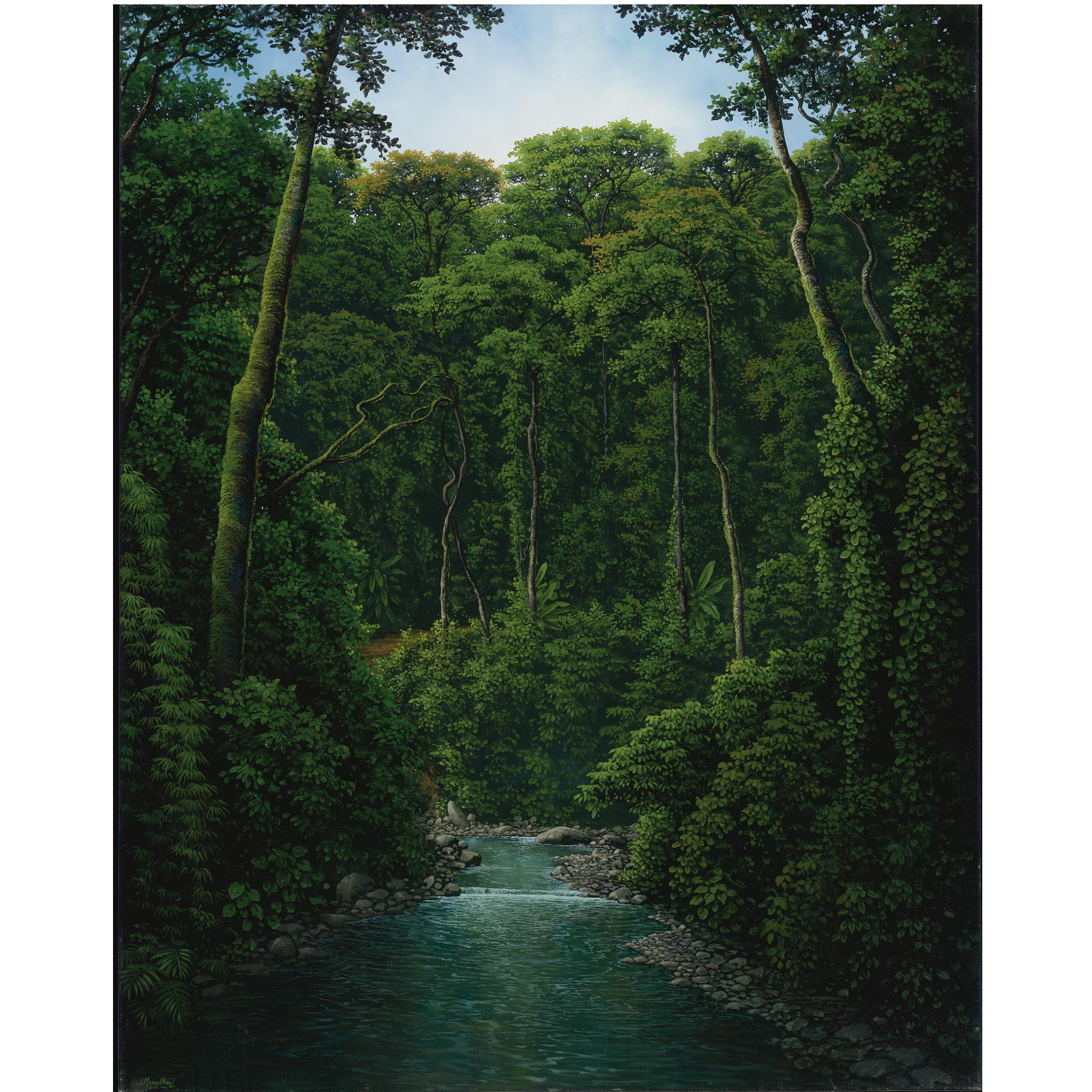 Juan Manuel Hernández - Sendero En La Selva