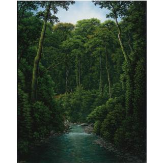 Juan Manuel Hernández - Sendero En La Selva