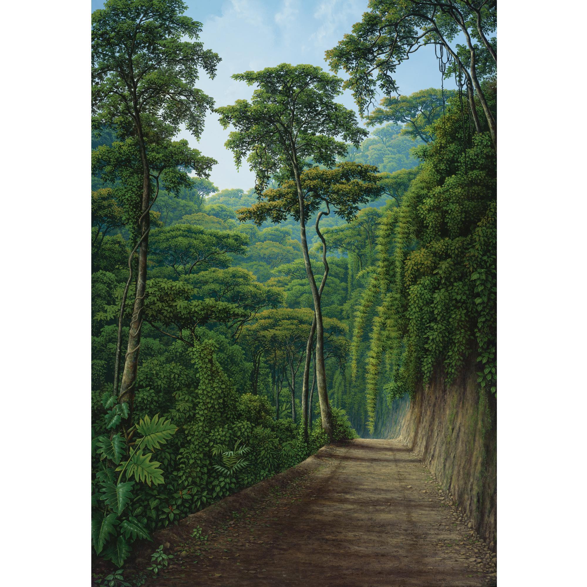 Juan Manuel Hernández - Sombras En El Camino