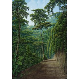 Juan Manuel Hernández - Sombras En El Camino