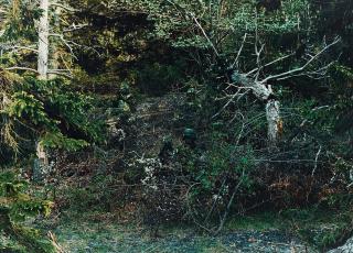 Juan Pedro Fabra Guemberena - \