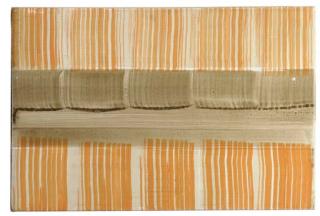 Juan Uslé - Pelusillas