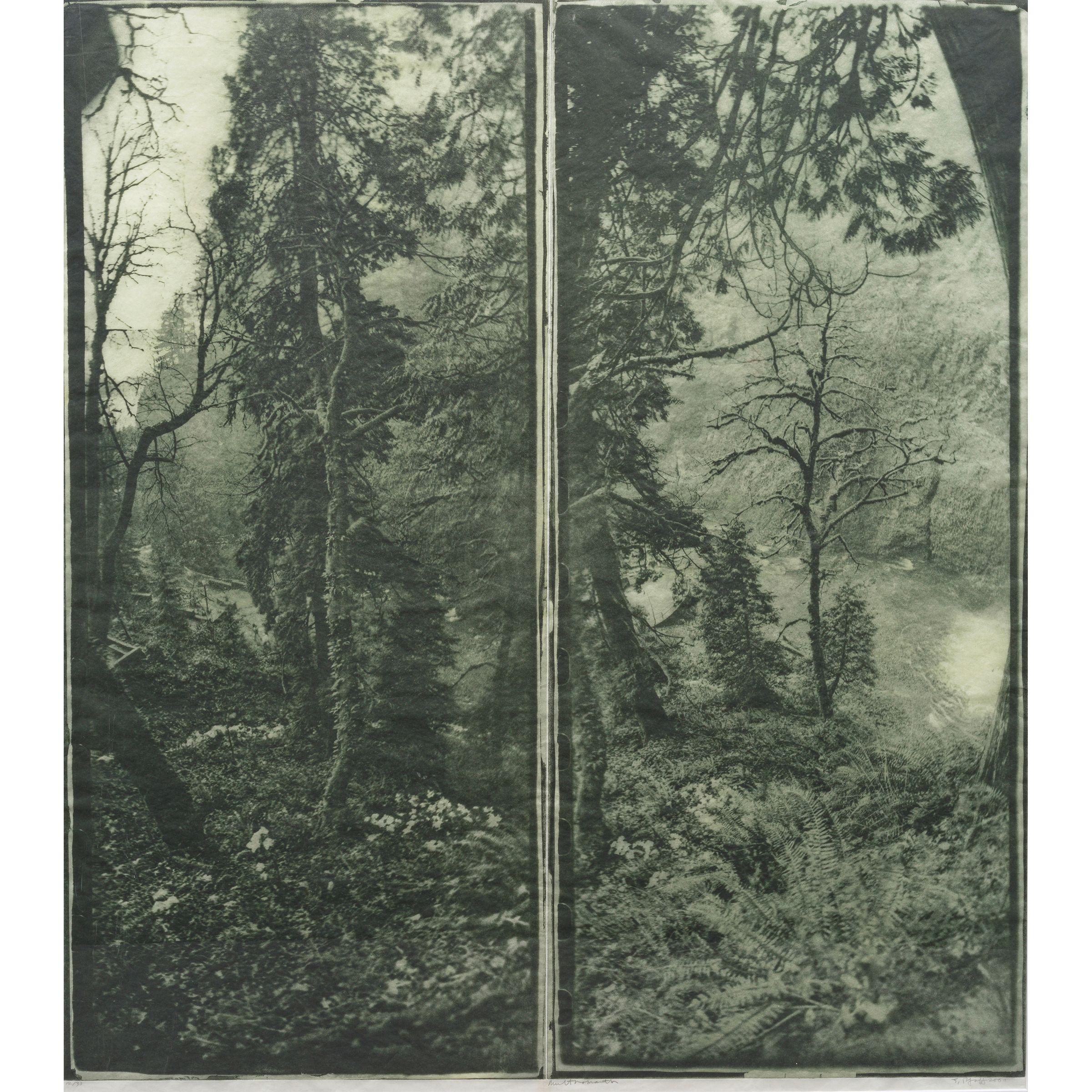 Judy Pfaff - Multnomah