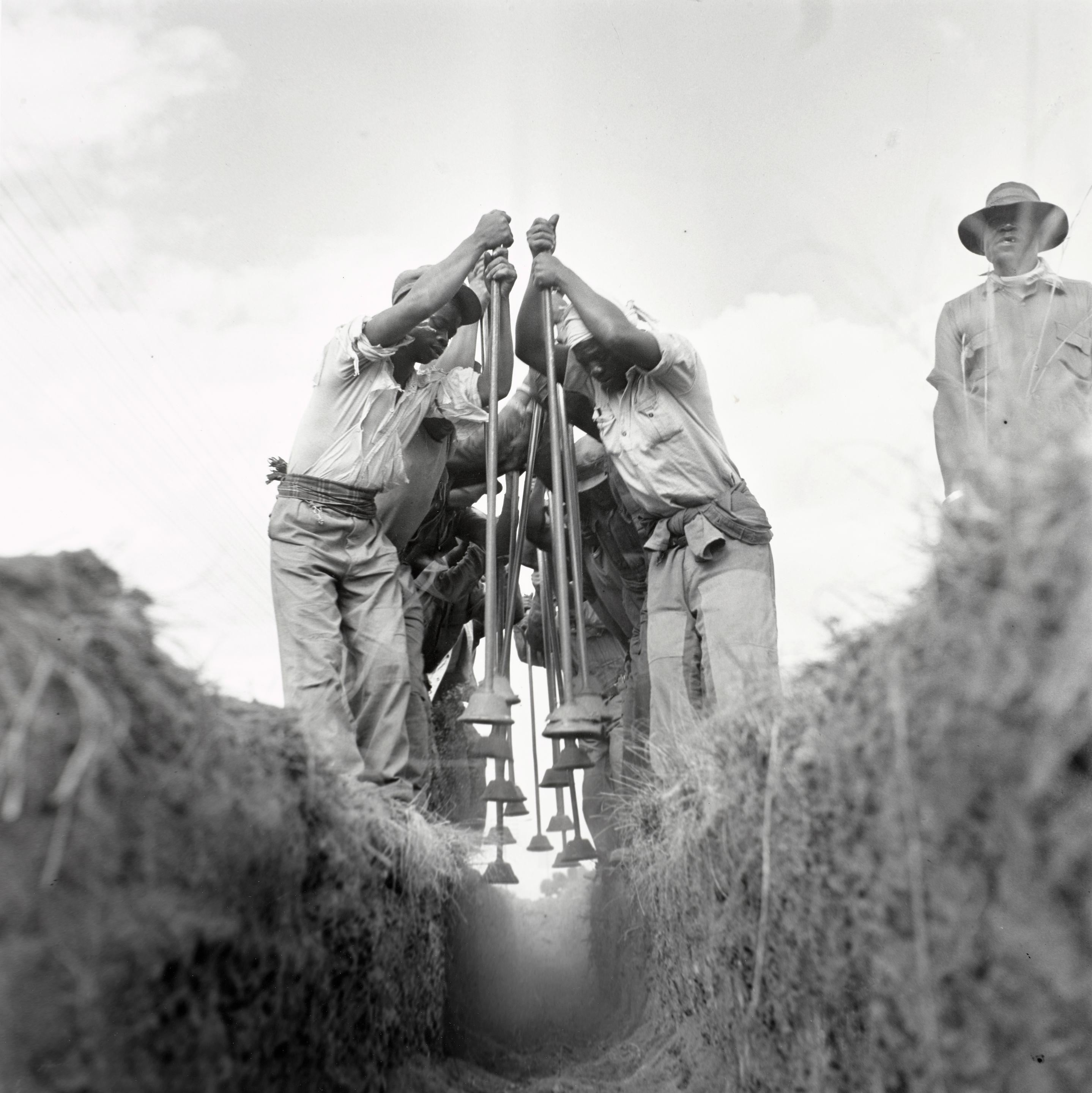 Jürgen Schadeberg - Ditch Workers, Johannesburg