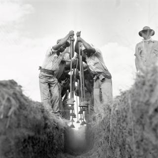 Jürgen Schadeberg - Ditch Workers, Johannesburg