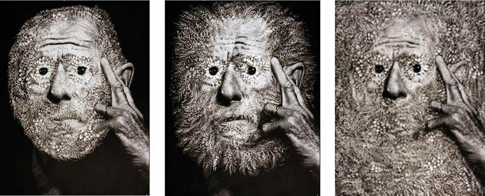 Jürgen von Dückerhoff - Ohne Titel (Triptychon, Flower Face 1-3)