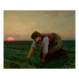 Jules Breton - Une Sarcleuse