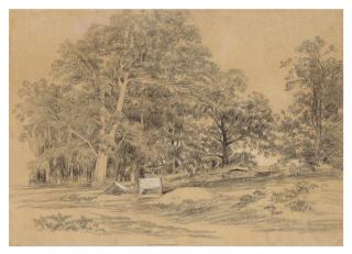 Jules Dupré - Paysage Arboré