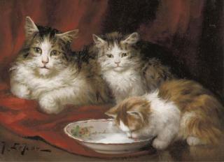 Jules Leroy - Chacun son tour: patience