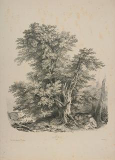 Jules Louis Philippe Coignet - 16 Bll.: Cours complet d’etudes de paysages.