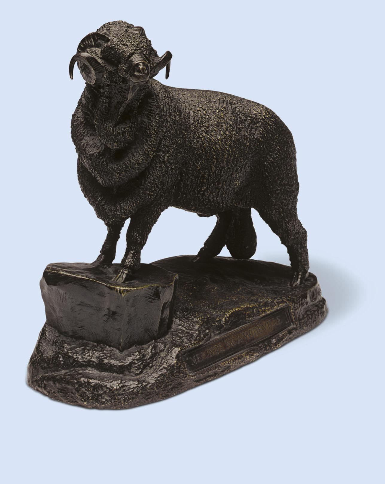 Jules Moigniez - Merinos né a wideville (Merino ram)