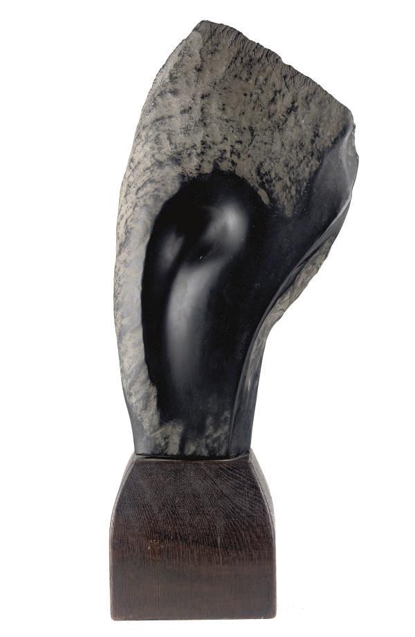 Jules Vermeire - Eye