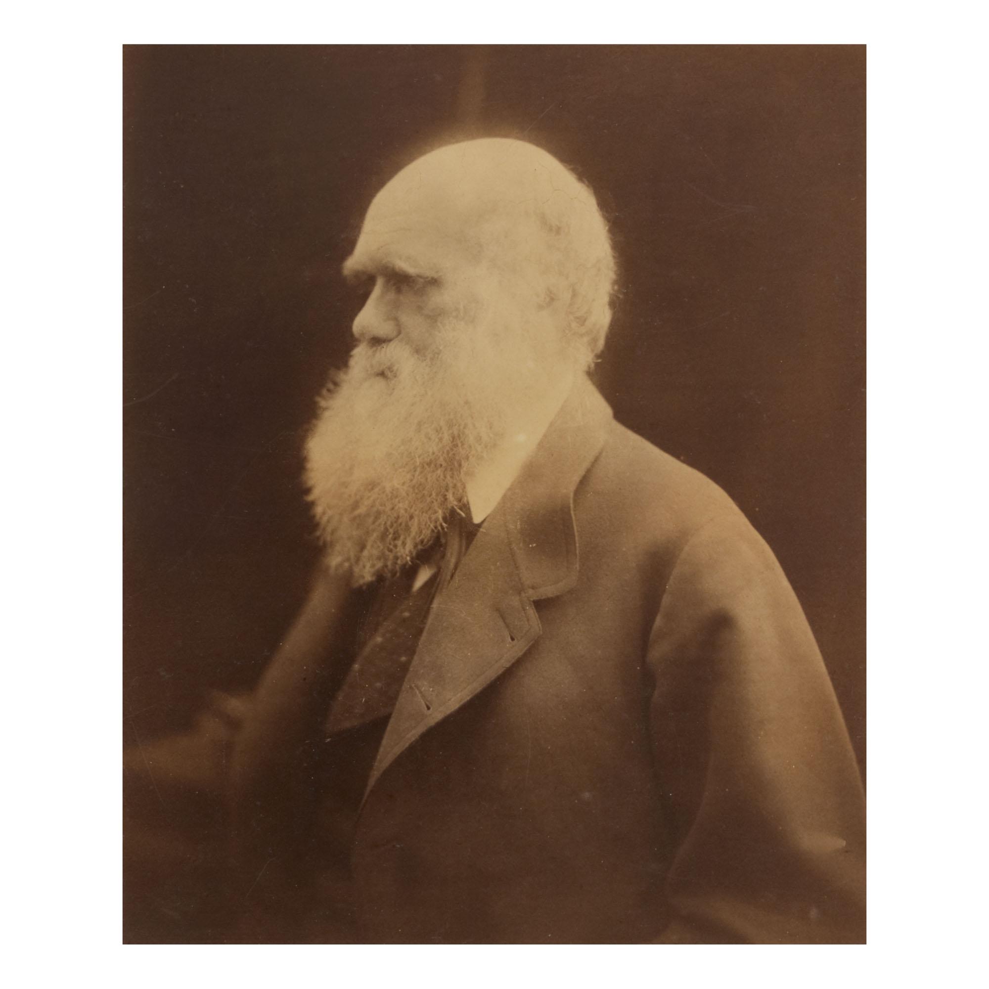 Julia Margaret Cameron - Charles Darwin