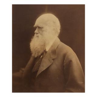 Julia Margaret Cameron - Charles Darwin