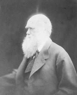 Julia Margaret Cameron - Charles Darwin