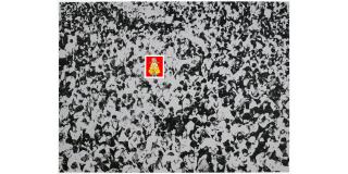 Julia Wachtel - Precariously Close to 5 Billion Points of Confusion (9 works)